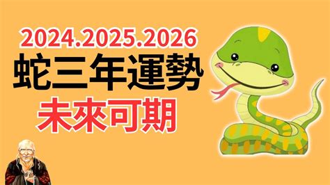 2025 年生肖|2025蛇年生肖運程蘇民峰｜屬雞人緣好、職場升遷機會大但要小 